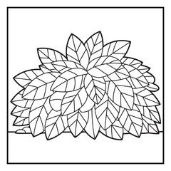 Autumn Coloring Pages | Fall Leaves, Pumpkins, Harvest & Seasonal Designs for Kids and Adults