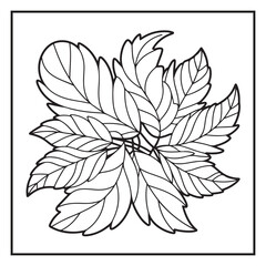 Autumn Coloring Pages | Cozy Fall Leaves, Pumpkins, Animals, Mandalas & Scenery | Bold Easy Outlines for Adults and Kids