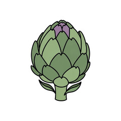 Fototapeta premium Illustration of a fresh green artichoke vegetable.