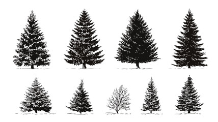 Fototapeta premium Set of Festive Christmas Trees Icons for Holiday Decorations in Vector Illustration