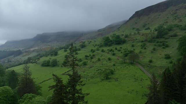 Nebelverhangenes Tal und H&uuml;gel in Glenarm, Nordirland