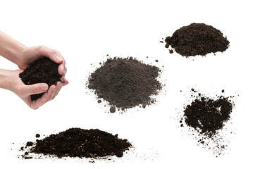 Black land for plant.