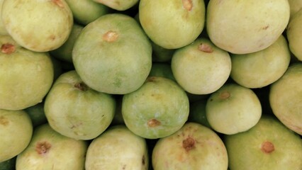 tinda indian squash apple gourd round melon fresh green vegetable organic produce healthy food...