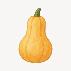 Watercolor butternut squash illustration.