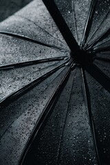Wet Black Umbrella with Raindrops, Close-up, Abstract Texture.