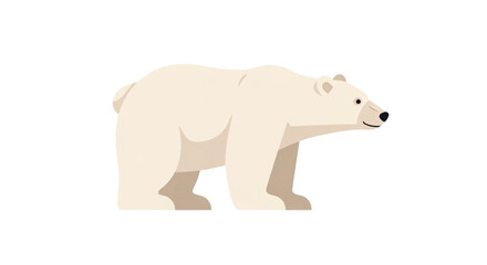 Polar Bear Walking on White Background.