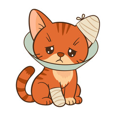 Sad orange tabby cat with cone collar and bandaged paw and ear. Chibi Flat style clean, simple design. For veterinary and children’s content, pet care blogs, greeting cards, stickers, tshirts, poster