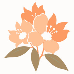  rhododendron nelda peach silhouette vector on white