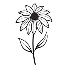 rudbeckia triloba line art vector on white