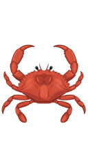 Red Crab Illustration with Claws Raised.