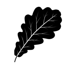 Oak leaf icon. PNG with transparent background.