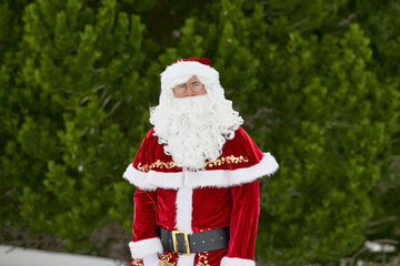 Santa Claus stands in a snowy pine forest