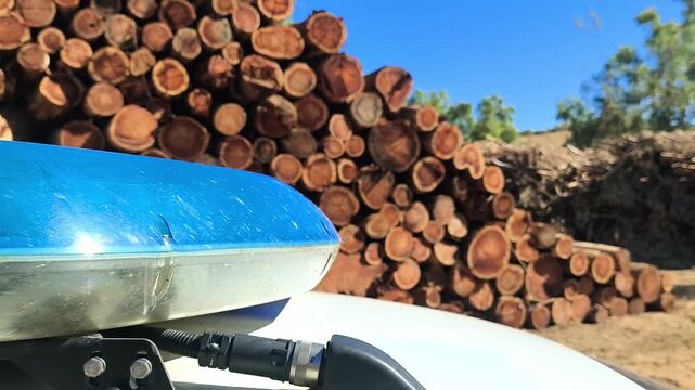 Vigilancia policial tratamiento forestales limpieza evitar fuegos 