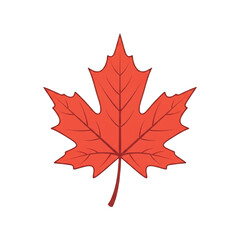 Naklejka premium Red Maple Leaf Illustration.