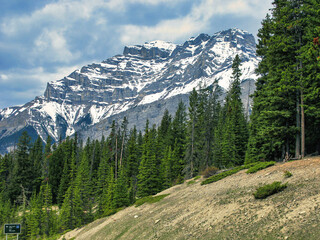 Fototapeta premium Scenic view of a snow-capped mount Rundle in Banff National Park, Canada.