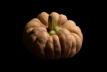 Large yellow pumpkin isolated in a black background