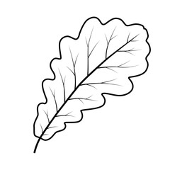Oak leaf icon. PNG with transparent background.