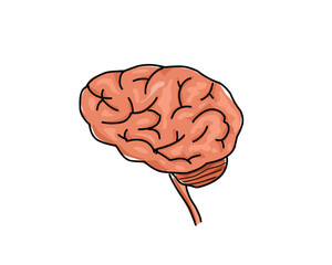 brain illustration simple design vector.eps