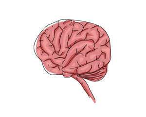 human brain illustration design vector.eps