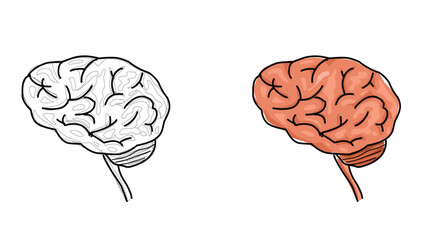 brain illustration outline and coloring design.eps