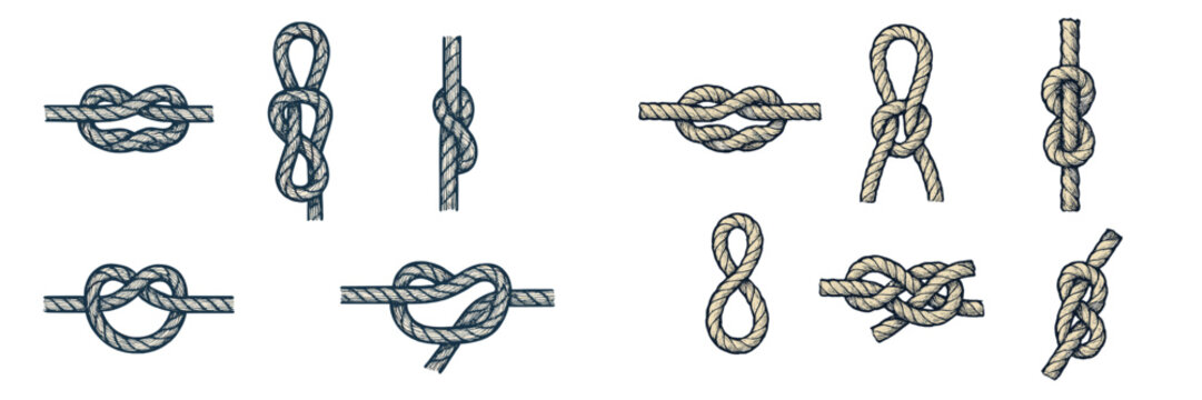 Various rope knots for nautical and climbing uses, hand-drawn style