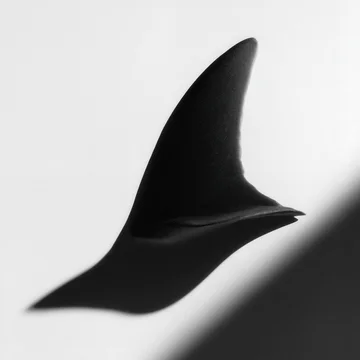 Black and White Shark Fin Shadow Texture