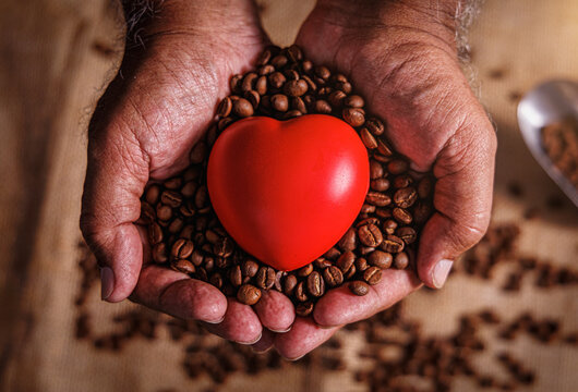Senior hands gently holding coffee beans and red heart symbolizing wellbeing and care