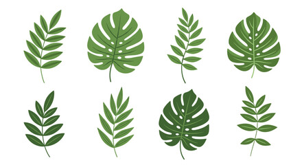 Collection of various green leaves isolated on white background for design.