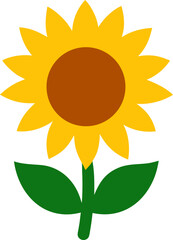 Sunflower colorful icon vector on white background 