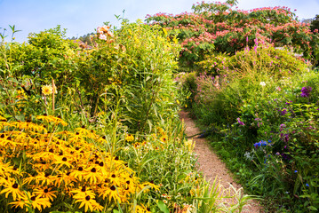 Monet garden in Giverny, France