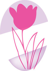 Pink Tulip Flower Graphic: Elegant Floral Design Element