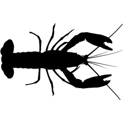 silhouette of a lobster