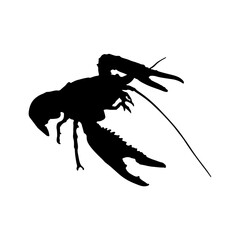 silhouette of a lobster