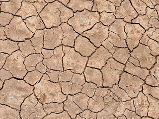 Dry  land in a desert of Ethiopia