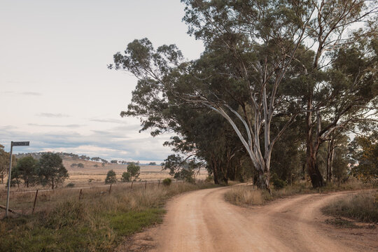 Fork in the road along dusty back lane in rural Australia