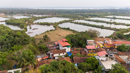 Aerial landscape view of Curca backwaters in Goa with golden sunlight on water channels, lush greenery, and traditional Goan village houses in foreground, scenic rural landscape.