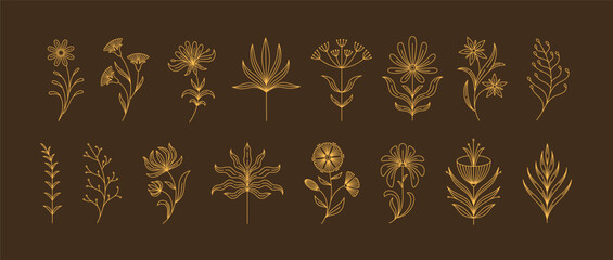Set of boho simple geometric branch and flowers. Botanic design elements in wavy and vintage style. Leaves and branches print for logo, social media or packaging and greeting card. Vector illustration