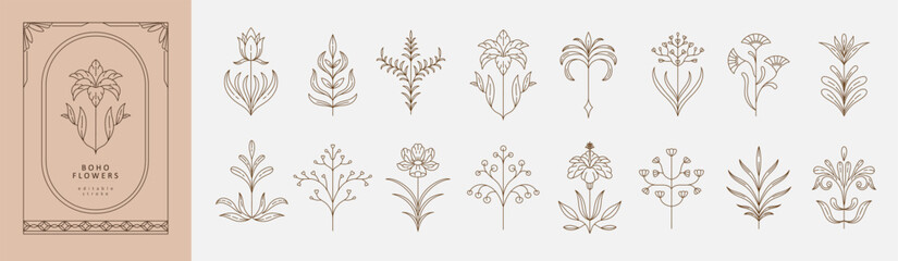 Set of boho simple geometric branch and flowers. Botanic design elements in wavy and vintage style. Leaves and branches print for logo, social media or packaging