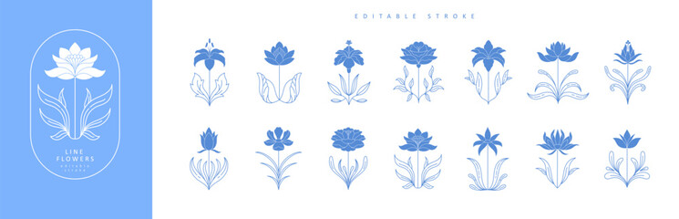 Set of boho simple geometric branch and flowers. Botanic design elements in wavy and vintage style. Leaves and branches print for logo, social media or packaging