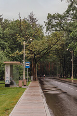 bus stop in a forest or park. A peaceful pathway through a lush green park, perfect for leisurely strolls under the canopy of trees