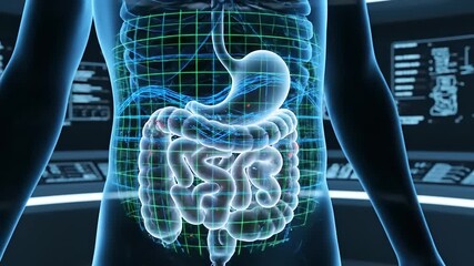 Digital Hologram of Human Digestive System with Warning Signs. Medical Scan Showing Stomach and Intestines with Hazard Symbols. Concept of Illness