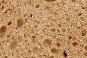 Close Up of Whole Wheat Bread Texture
