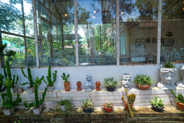 Various outdoor botanical cactus plantation house