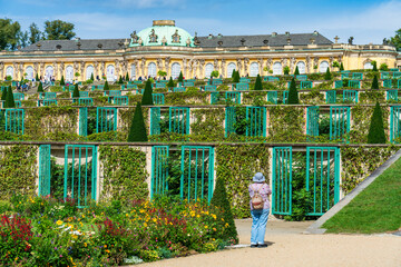 Female tourist visit vineyard terraces at Sanssouci park in Potsdam. Germany