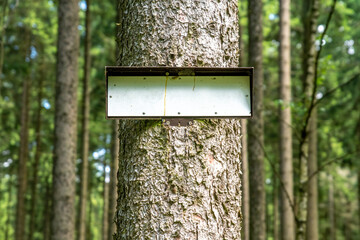 A signboard on the trunk of a tree in the forest.