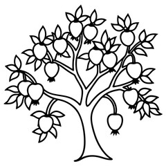Pomegranate Tree line art vector