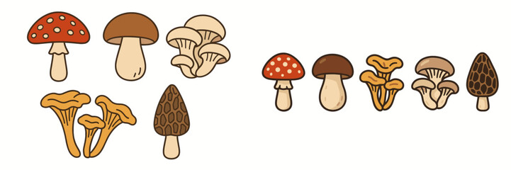 Fototapeta premium Diverse set of wild forest mushrooms featuring fly agaric, boletus, chanterelle, and morel varieties