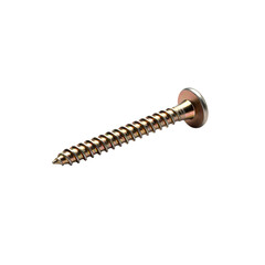 CloseUp of a Brass Wood Screw Detailed View of Fastener on transparent background