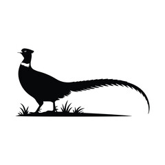 Obraz premium Elegant Black Pheasant Silhouette Symbolizing Pride and Nobility in Wildlife Art Depiction