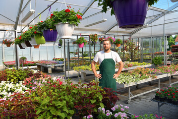 happy worker growing flowers in a greenhouse of a flower shop